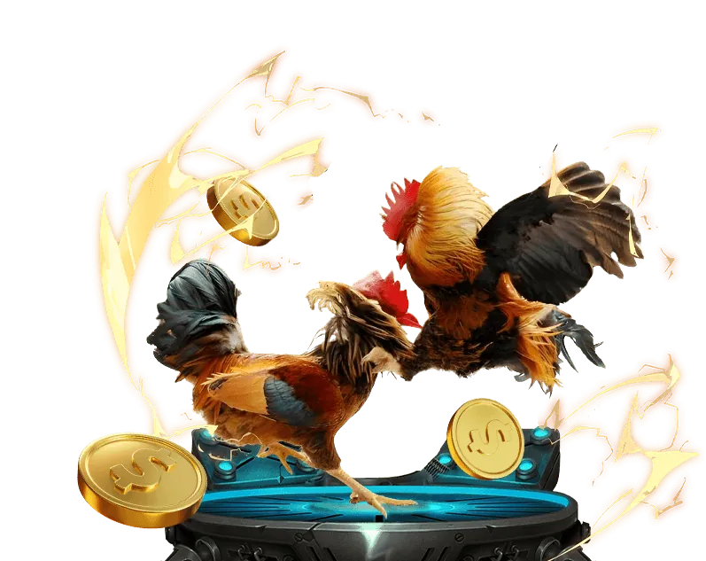 Đa dạng trận đấu đá gà Fun88